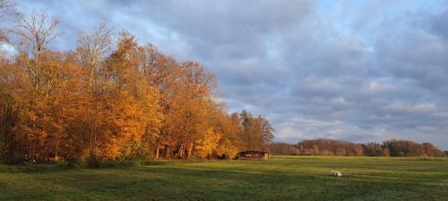 Herbst